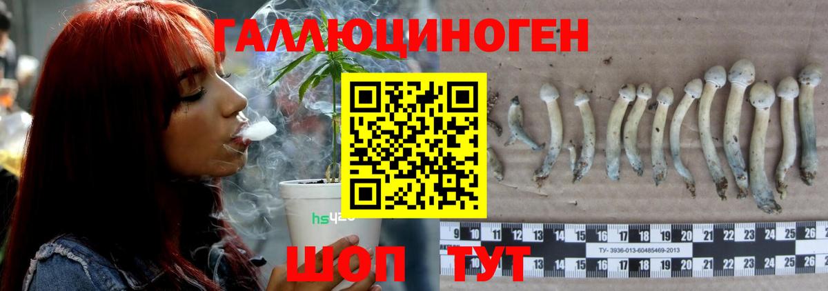 Псилоцибиновые грибы MAGIC MUSHROOMS Кольчугино